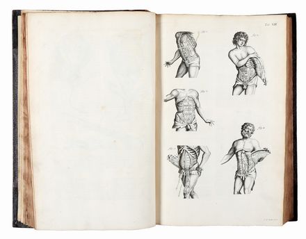  Manget Jean Jacques : Theatrum anatomicum [...]. Tomus primus (-secundus). Adjectae sunt ad calcem operis celeberr. Barth. Eustachii Tabulae anatomicae, ab illustrissimo Joh. Maria Lancisio. Medicina, Anatomia, Figurato, Medicina, Collezionismo e Bibliografia  Bartolomeo Eustachi, Giovanni Maria Lancisi, Johann Georg Seiller, Giovanni Antonio Barigioni  (1665 - 1721)  - Auction Books & Graphics - Libreria Antiquaria Gonnelli - Casa d'Aste - Gonnelli Casa d'Aste