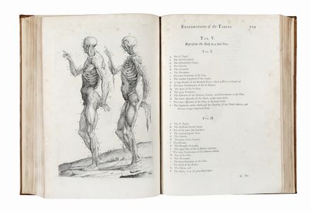 Cowper William : Myotomia reformata: or an anatomical treatise on the muscles of the human body. Illustrated with figures after the life.  - Asta Libri & Grafica - Libreria Antiquaria Gonnelli - Casa d'Aste - Gonnelli Casa d'Aste