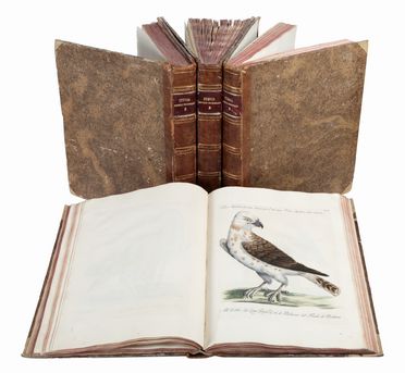  Manetti Saverio : Storia naturale degli uccelli trattata con metodo [...]. Tomo primo (-quinto ed ultimo).  Violante Lampredi Vanni  ( - 1776), Lorenzo Lorenzi  - Asta Libri & Grafica - Libreria Antiquaria Gonnelli - Casa d'Aste - Gonnelli Casa d'Aste