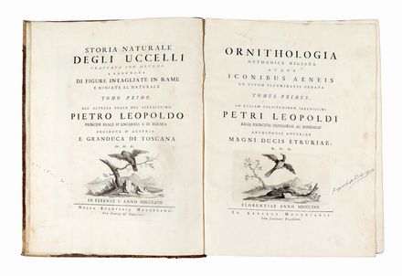  Manetti Saverio : Storia naturale degli uccelli trattata con metodo [...]. Tomo primo (-quinto ed ultimo).  Violante Lampredi Vanni  ( - 1776), Lorenzo Lorenzi  - Asta Libri & Grafica - Libreria Antiquaria Gonnelli - Casa d'Aste - Gonnelli Casa d'Aste