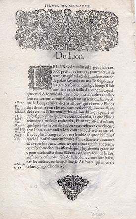  Joseph Boillot  (Langres (Haute-Marne),  - 1605) : Termine con grifone.  - Asta Grafica & Libri - Libreria Antiquaria Gonnelli - Casa d'Aste - Gonnelli Casa d'Aste