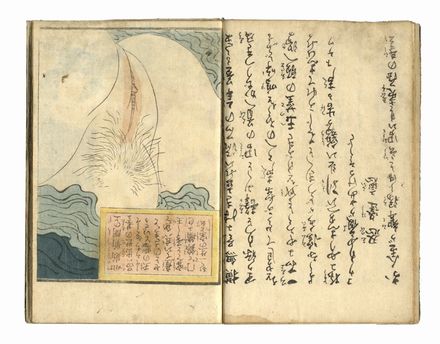  Keisai Eisen  (Hoshigaoka (Edo), 1790 - 1848) : Ehon mime kurabe - Bellezze femminili a confronto (volumi 1 e 2 di tre).  - Auction Graphics & Books - Libreria Antiquaria Gonnelli - Casa d'Aste - Gonnelli Casa d'Aste