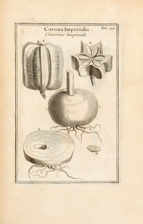  Tournefort (de) Pitton Joseph : Institutiones rei herbariae. Editio tertia. Appendicibus aucta ab Antonio De Jussieu [...]. Tomus primo (-tertio). Botanica, Scienze naturali, Figurato, Scienze naturali, Collezionismo e Bibliografia  Antoine de Jussieu  (1686 - 1758)  - Auction Graphics & Books - Libreria Antiquaria Gonnelli - Casa d'Aste - Gonnelli Casa d'Aste