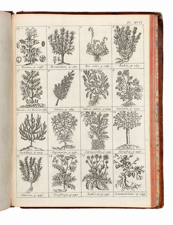  Lemery Nicolas : Dictionnaire universel des drogues simples... Farmacologia, Dizionari, Botanica, Medicina, Figurato, Medicina, Letteratura, Scienze naturali, Collezionismo e Bibliografia  - Auction Graphics & Books - Libreria Antiquaria Gonnelli - Casa d'Aste - Gonnelli Casa d'Aste