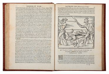  Du Fouilloux Jacques : La venerie [...] de nouveau reveue & augmente du Miroir de Fauconnerie. Caccia e pesca, Feste - Folklore - Giochi - Sport  - Auction Graphics & Books - Libreria Antiquaria Gonnelli - Casa d'Aste - Gonnelli Casa d'Aste