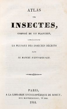 Atlas des insectes [...] dans le manuel d'entomologie.  - Asta Grafica & Libri - Libreria Antiquaria Gonnelli - Casa d'Aste - Gonnelli Casa d'Aste