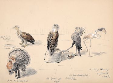  Francis Carruthers Gould  (1844 - 1925) [attribuito a] : Lotto composto di 3 disegni.  - Asta Grafica & Libri - Libreria Antiquaria Gonnelli - Casa d'Aste - Gonnelli Casa d'Aste