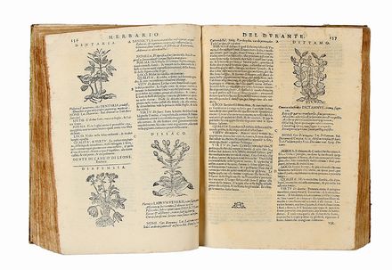  Durante Castore : Herbario nuovo [...]. Ove son figure, che rappresentano le vive piante... Botanica, Medicina, Scienze naturali, Figurato, Scienze naturali, Collezionismo e Bibliografia  - Auction Graphics & Books - Libreria Antiquaria Gonnelli - Casa d'Aste - Gonnelli Casa d'Aste