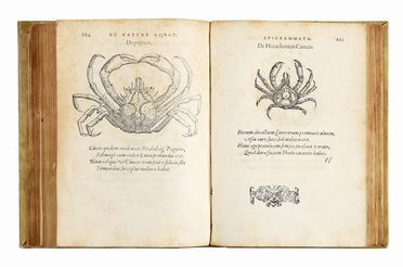  Boussuet François : De natura aquatilium carmen...  Guillaume Rondelet  (1507 - 1566), George Reverdy  - Asta Grafica & Libri - Libreria Antiquaria Gonnelli - Casa d'Aste - Gonnelli Casa d'Aste