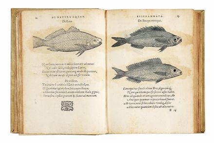  Boussuet Franois : De natura aquatilium carmen...  Guillaume Rondelet  (1507 - 1566), George Reverdy  - Asta Grafica & Libri - Libreria Antiquaria Gonnelli - Casa d'Aste - Gonnelli Casa d'Aste