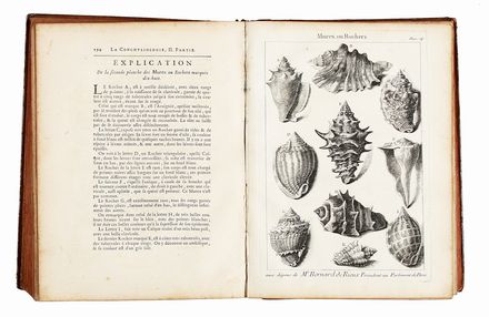  Dzallier D'Argenville Antoine Joseph : L'Histoire naturelle claircie dans deux de ses parties principales, la lithologie et la conchyliologie, dont l'une traite des pierres et l'autre des coquillages... Scienze naturali, Conchiglie, Figurato, Scienze naturali, Collezionismo e Bibliografia  Quentin Pierre Chedel  (1705 - 1762), Franois Boucher  (Parigi, 1703 - 1770)  - Auction Graphics & Books - Libreria Antiquaria Gonnelli - Casa d'Aste - Gonnelli Casa d'Aste