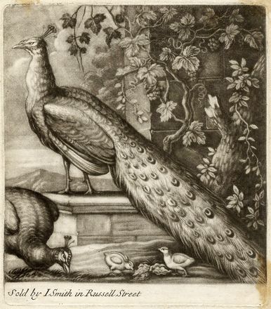  John Smith  (Daventry,  - Northampton, 1742) : Lotto di 16 tavole a mezzotinto.  - Auction Graphics & Books - Libreria Antiquaria Gonnelli - Casa d'Aste - Gonnelli Casa d'Aste