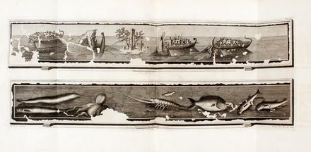  Baiardi Ottavio Antonio [e altri] : Antichità di Ercolano. Catalogo degli antichi monumenti; Le pitture antiche d'Ercolano. Tomo primo (-quarto); De' Bronzi d'Ercolano. Tomo primo (-secondo).  Filippo Morghen  (Firenze, 1730 - 1807), Pietro Campana  - Asta Grafica & Libri - Libreria Antiquaria Gonnelli - Casa d'Aste - Gonnelli Casa d'Aste