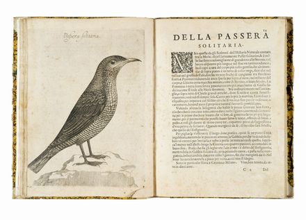  Olina Pietro Giovanni : Uccelliera overo discorso della natura e proprieta di diversi uccelli...  Antonio Tempesta  (Firenze, 1555 - Roma, 1630), Francesco Villamena  (Assisi,  - Roma, 1626)  - Asta Grafica & Libri - Libreria Antiquaria Gonnelli - Casa d'Aste - Gonnelli Casa d'Aste