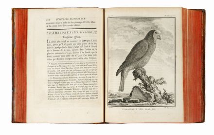 Buffon Georges Louis : Histoire naturelle générale et particuliere...  - Asta Grafica & Libri - Libreria Antiquaria Gonnelli - Casa d'Aste - Gonnelli Casa d'Aste
