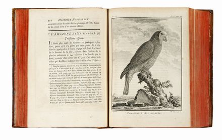  Buffon Georges Louis : Histoire naturelle gnrale et particuliere... Scienze naturali, Mineralogia, Uccelli, Figurato, Zoologia, Botanica, Letteratura francese, Anatomia, Medicina, Scienze naturali, Scienze naturali, Collezionismo e Bibliografia, Scienze naturali, Scienze naturali, Letteratura, Medicina  - Auction Graphics & Books - Libreria Antiquaria Gonnelli - Casa d'Aste - Gonnelli Casa d'Aste