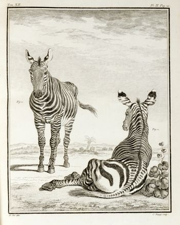  Buffon Georges Louis : Histoire naturelle générale et particuliere...  - Asta Grafica & Libri - Libreria Antiquaria Gonnelli - Casa d'Aste - Gonnelli Casa d'Aste