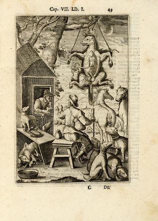  Raimondi Eugenio : Delle caccie [...] libri quattro. Caccia e pesca, Figurato, Feste - Folklore - Giochi - Sport, Collezionismo e Bibliografia  - Auction Graphics & Books - Libreria Antiquaria Gonnelli - Casa d'Aste - Gonnelli Casa d'Aste