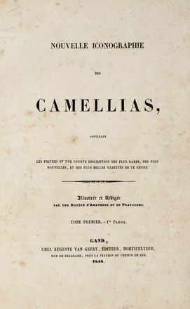  Verschaffelt Alexandre : Nouvelle Iconographie des Camellias contenant les figures et la description des plus rares, des plus nouvelles et des plus belles varits de ce genre...  - Asta Grafica & Libri - Libreria Antiquaria Gonnelli - Casa d'Aste - Gonnelli Casa d'Aste