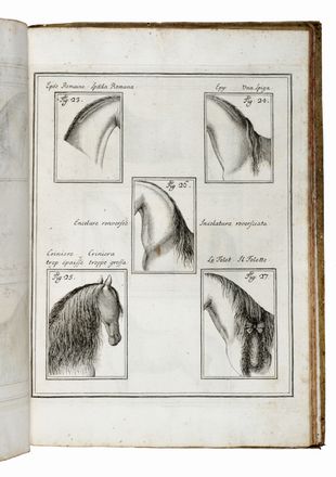  Eisenberg Friedrich Wilhelm (barone d') : La perfezione e i difetti del cavallo.  Carlo Gregori  - Asta Grafica & Libri - Libreria Antiquaria Gonnelli - Casa d'Aste - Gonnelli Casa d'Aste