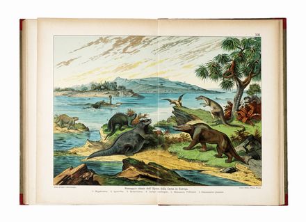  Mercalli Giuseppe : Storia naturale del regno minerale divisa in due parti... Geologia - vulcani e terremoti, Mineralogia  - Auction Graphics & Books - Libreria Antiquaria Gonnelli - Casa d'Aste - Gonnelli Casa d'Aste