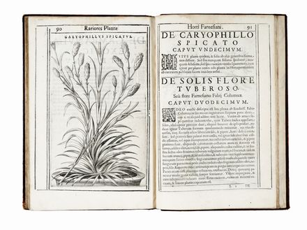  Aldini Tobia : Exactissima descriptio rariorum quarundam plantarum, quae continentur Romae in Horto Farnesiano.  Pietro Castelli, Jacopo Ligozzi  (1547 - 1626), Giuseppe Caletti (detto il Cremonese)  (attivo a Cremona e Ferrara, 1600)  - Asta Grafica & Libri - Libreria Antiquaria Gonnelli - Casa d'Aste - Gonnelli Casa d'Aste