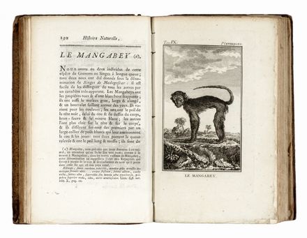  Buffon Georges Louis : Histoire naturelle générale et particuliere... Scienze naturali, Mineralogia, Zoologia, Uccelli, Botanica, Letteratura francese, Scienze naturali, Scienze naturali, Scienze naturali, Scienze naturali, Letteratura  - Auction Graphics & Books - Libreria Antiquaria Gonnelli - Casa d'Aste - Gonnelli Casa d'Aste