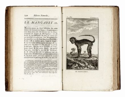  Buffon Georges Louis : Histoire naturelle gnrale et particuliere... Scienze naturali, Mineralogia, Zoologia, Uccelli, Botanica, Letteratura francese, Scienze naturali, Scienze naturali, Scienze naturali, Scienze naturali, Letteratura  - Auction Graphics & Books - Libreria Antiquaria Gonnelli - Casa d'Aste - Gonnelli Casa d'Aste