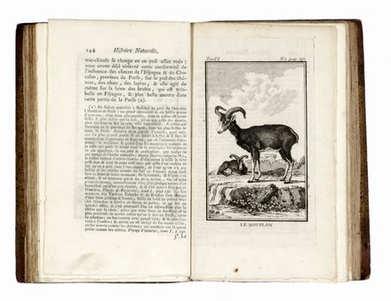  Buffon Georges Louis : Histoire naturelle générale et particuliere... Scienze naturali, Mineralogia, Zoologia, Uccelli, Botanica, Letteratura francese, Scienze naturali, Scienze naturali, Scienze naturali, Scienze naturali, Letteratura  - Auction Graphics & Books - Libreria Antiquaria Gonnelli - Casa d'Aste - Gonnelli Casa d'Aste
