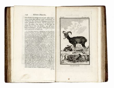  Buffon Georges Louis : Histoire naturelle gnrale et particuliere... Scienze naturali, Mineralogia, Zoologia, Uccelli, Botanica, Letteratura francese, Scienze naturali, Scienze naturali, Scienze naturali, Scienze naturali, Letteratura  - Auction Graphics & Books - Libreria Antiquaria Gonnelli - Casa d'Aste - Gonnelli Casa d'Aste