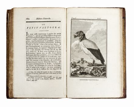  Buffon Georges Louis : Histoire naturelle générale et particuliere... Scienze naturali, Mineralogia, Zoologia, Uccelli, Botanica, Letteratura francese, Scienze naturali, Scienze naturali, Scienze naturali, Scienze naturali, Letteratura  - Auction Graphics & Books - Libreria Antiquaria Gonnelli - Casa d'Aste - Gonnelli Casa d'Aste