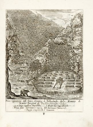  Soldani Fedele : Ristretto della vita del patriarca D. Giovangualberto. Storia locale, Biografia, Storia, Diritto e Politica, Storia, Diritto e Politica  Stefano Della Bella  (Firenze, 1610 - 1664)  - Auction Graphics & Books - Libreria Antiquaria Gonnelli - Casa d'Aste - Gonnelli Casa d'Aste