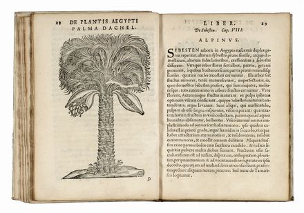  Alpino Prospero : De plantis Aegypti liber. Cum observationibus & notis Ioannis Veslingii...  - Asta Grafica & Libri - Libreria Antiquaria Gonnelli - Casa d'Aste - Gonnelli Casa d'Aste