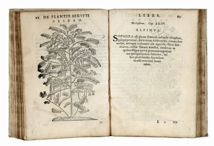  Alpino Prospero : De plantis Aegypti liber. Cum observationibus & notis Ioannis Veslingii...  - Asta Grafica & Libri - Libreria Antiquaria Gonnelli - Casa d'Aste - Gonnelli Casa d'Aste