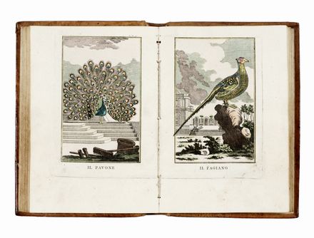  Buffon Georges Louis : Ornitologia portatile. Uccelli, Scienze naturali  - Auction Graphics & Books - Libreria Antiquaria Gonnelli - Casa d'Aste - Gonnelli Casa d'Aste