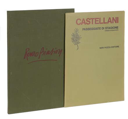  Castellani Leonardo : Passeggiate di stagione. Cinque prose, cinque acquatinte. Libro d'Artista, Collezionismo e Bibliografia  Renzo Biason, Mario Pompilio  - Auction Graphics & Books - Libreria Antiquaria Gonnelli - Casa d'Aste - Gonnelli Casa d'Aste