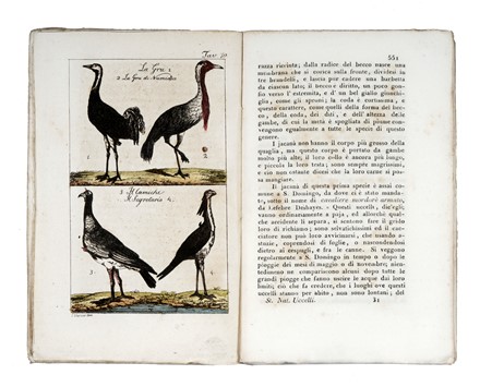  Buffon Georges Louis : Storia naturale [...] edizione adorna di rami. Tomo I (-LIV).  - Asta Grafica & Libri - Libreria Antiquaria Gonnelli - Casa d'Aste - Gonnelli Casa d'Aste