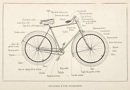  Baudry de Saunier Louis : Le cyclisme théorique et pratique.  - Asta Grafica & Libri - Libreria Antiquaria Gonnelli - Casa d'Aste - Gonnelli Casa d'Aste