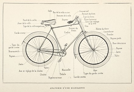  Baudry de Saunier Louis : Le cyclisme thorique et pratique.  - Asta Grafica & Libri - Libreria Antiquaria Gonnelli - Casa d'Aste - Gonnelli Casa d'Aste