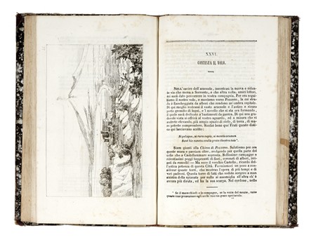  Alvino Francesco : Viaggio da Napoli a Castellammare con 42 vedute incise all'acqua forte. Geografia e viaggi, Guida illustrata, Storia locale  Achille Gigante, Gustavo Witting  - Auction Graphics & Books - Libreria Antiquaria Gonnelli - Casa d'Aste - Gonnelli Casa d'Aste