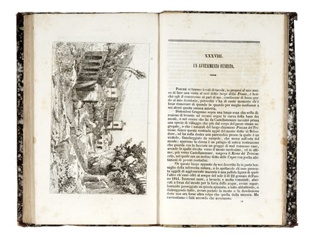  Alvino Francesco : Viaggio da Napoli a Castellammare con 42 vedute incise all'acqua forte. Geografia e viaggi, Guida illustrata, Storia locale  Achille Gigante, Gustavo Witting  - Auction Graphics & Books - Libreria Antiquaria Gonnelli - Casa d'Aste - Gonnelli Casa d'Aste