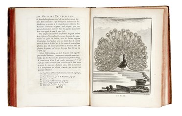  Buffon Georges Louis : Histoire naturelle générale et particuliere...  Bernard Germain Etienne (de) Lacépède, Louis Jean Marie Daubenton, Louis Legrand  (Digione, 1863 - Livry-Gargan, Seine-et-Oise, 1951), Nicolas De Launay  (Parigi, 1739 - 1792)  - Asta Libri, autografi e manoscritti - Libreria Antiquaria Gonnelli - Casa d'Aste - Gonnelli Casa d'Aste