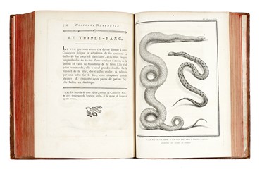  Buffon Georges Louis : Histoire naturelle générale et particuliere...  Bernard Germain Etienne (de) Lacépède, Louis Jean Marie Daubenton, Louis Legrand  (Digione, 1863 - Livry-Gargan, Seine-et-Oise, 1951), Nicolas De Launay  (Parigi, 1739 - 1792)  - Asta Libri, autografi e manoscritti - Libreria Antiquaria Gonnelli - Casa d'Aste - Gonnelli Casa d'Aste