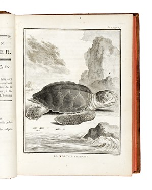  Buffon Georges Louis : Histoire naturelle générale et particuliere...  Bernard Germain Etienne (de) Lacépède, Louis Jean Marie Daubenton, Louis Legrand  (Digione, 1863 - Livry-Gargan, Seine-et-Oise, 1951), Nicolas De Launay  (Parigi, 1739 - 1792)  - Asta Libri, autografi e manoscritti - Libreria Antiquaria Gonnelli - Casa d'Aste - Gonnelli Casa d'Aste