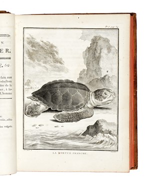  Buffon Georges Louis : Histoire naturelle gnrale et particuliere...  Bernard Germain Etienne (de) Lacpde, Louis Jean Marie Daubenton, Louis Legrand  (Digione, 1863 - Livry-Gargan, Seine-et-Oise, 1951), Nicolas De Launay  (Parigi, 1739 - 1792)  - Asta Libri, autografi e manoscritti - Libreria Antiquaria Gonnelli - Casa d'Aste - Gonnelli Casa d'Aste