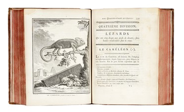  Buffon Georges Louis : Histoire naturelle générale et particuliere...  Bernard Germain Etienne (de) Lacépède, Louis Jean Marie Daubenton, Louis Legrand  (Digione, 1863 - Livry-Gargan, Seine-et-Oise, 1951), Nicolas De Launay  (Parigi, 1739 - 1792)  - Asta Libri, autografi e manoscritti - Libreria Antiquaria Gonnelli - Casa d'Aste - Gonnelli Casa d'Aste