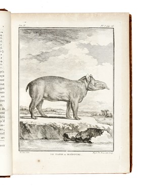  Buffon Georges Louis : Histoire naturelle générale et particuliere...  Bernard Germain Etienne (de) Lacépède, Louis Jean Marie Daubenton, Louis Legrand  (Digione, 1863 - Livry-Gargan, Seine-et-Oise, 1951), Nicolas De Launay  (Parigi, 1739 - 1792)  - Asta Libri, autografi e manoscritti - Libreria Antiquaria Gonnelli - Casa d'Aste - Gonnelli Casa d'Aste
