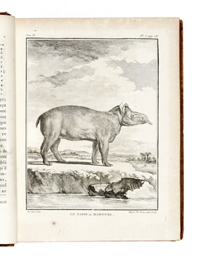  Buffon Georges Louis : Histoire naturelle gnrale et particuliere...  Bernard Germain Etienne (de) Lacpde, Louis Jean Marie Daubenton, Louis Legrand  (Digione, 1863 - Livry-Gargan, Seine-et-Oise, 1951), Nicolas De Launay  (Parigi, 1739 - 1792)  - Asta Libri, autografi e manoscritti - Libreria Antiquaria Gonnelli - Casa d'Aste - Gonnelli Casa d'Aste