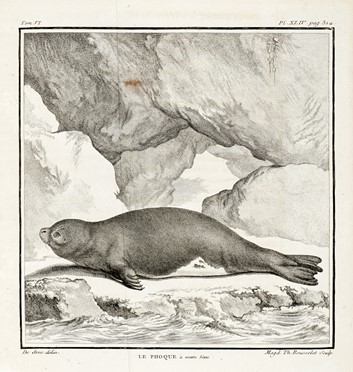  Buffon Georges Louis : Histoire naturelle générale et particuliere...  Bernard Germain Etienne (de) Lacépède, Louis Jean Marie Daubenton, Louis Legrand  (Digione, 1863 - Livry-Gargan, Seine-et-Oise, 1951), Nicolas De Launay  (Parigi, 1739 - 1792)  - Asta Libri, autografi e manoscritti - Libreria Antiquaria Gonnelli - Casa d'Aste - Gonnelli Casa d'Aste
