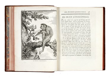 Buffon Georges Louis : Histoire naturelle générale et particuliere...  Bernard Germain Etienne (de) Lacépède, Louis Jean Marie Daubenton, Louis Legrand  (Digione, 1863 - Livry-Gargan, Seine-et-Oise, 1951), Nicolas De Launay  (Parigi, 1739 - 1792)  - Asta Libri, autografi e manoscritti - Libreria Antiquaria Gonnelli - Casa d'Aste - Gonnelli Casa d'Aste